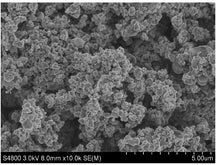 LiFePO4 (LFP) Powder for Li-Ion Battery Cathode, 100-500 g/bottle, CLIBCLFP