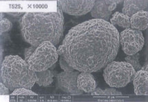 LiNi0.5Co0.2Mn0.3O2 (NCM523, Polycrystalline) Powder for Li-Ion Battery Cathode, 100-500 g/bottle, CLIBCNCM523