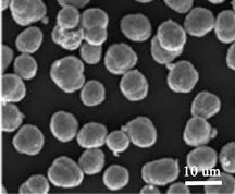 LiNi0.90Co0.05Mn0.05O2 (NCM9055, Polycrystalline) Powder for Li-Ion Battery Cathode, 100 g/bottle, CLIBCNCM9055
