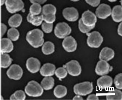 LiNi0.90Co0.05Mn0.05O2 (NCM9055, Polycrystalline) Powder for Li-Ion Battery Cathode, 100 g/bottle, CLIBCNCM9055