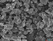 Single-Crystal LiFePO4 (LFP) Powder for Long Cycling Li-Ion Battery Cathode, 100 g/bottle, CLIBCSCLFP