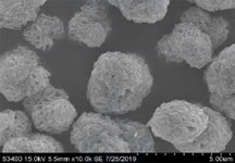 Single-Crystal LiNi0.5Co0.2Mn0.3O2 (NCM523) Powder for High-Voltage (~4.35 V) Li-Ion Battery Cathode, 100 g/bottle, CLIBCSCNCM523