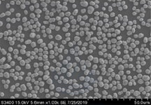 Single-Crystal LiNi0.5Co0.2Mn0.3O2 (NCM523) Powder for High-Voltage (~4.35 V) Li-Ion Battery Cathode, 100 g/bottle, CLIBCSCNCM523