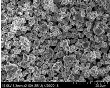 Single-Crystal LiNi0.8Co0.1Mn0.1O2 (NCM811) Powder with Aluminum (Al) Coating for Solid-State Battery Cathode, 100 g/bottle, CLIBCSCNCM811A