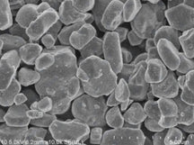 Single-Crystal LiNi0.90Co0.05Mn0.05O2 (NCM9055) Powder for Li-Ion Battery Cathode, 100-1000 g/bottle, CLIBCSCNCM9055