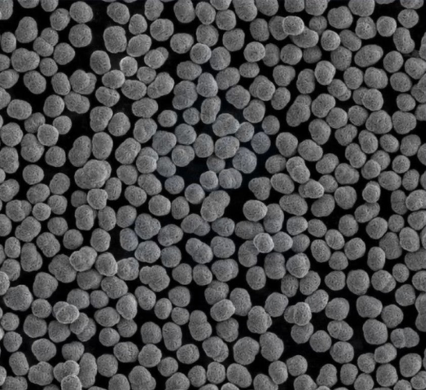 Ni0.9Co0.1(OH)2 Precursor Powder for LNCO Cathode Synthesis, 100 g/bottle, CLIBPCNC91OH