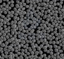 Ni0.9Co0.1(OH)2 Precursor Powder for LNCO Cathode Synthesis, 100 g/bottle, CLIBPCNC91OH
