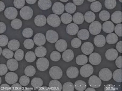 Ni0.9Co0.05Mn0.05(OH)2 Precursor Powder for NCM9055 Cathode Synthesis, 100 g/bottle, CLIBPCNCM9055OH
