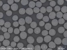 Ni0.9Co0.05Mn0.05(OH)2 Precursor Powder for NCM9055 Cathode Synthesis, 100 g/bottle, CLIBPCNCM9055OH