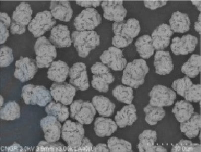 Ni0.25Mn0.75(OH)2 Precursor Powder for LNMO Cathode Synthesis, 100 g/bottle, CLIBPCNM2575OH