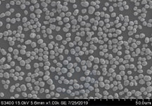 Ni0.5Co0.2Mn0.3(OH)2 Precursor Powder for Single-Crystal NCM523 Cathode Synthesis, 100 g/bottle, CLIBPCSCNCM523OH