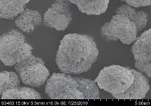 Ni0.5Co0.2Mn0.3(OH)2 Precursor Powder for Single-Crystal NCM523 Cathode Synthesis, 100 g/bottle, CLIBPCSCNCM523OH