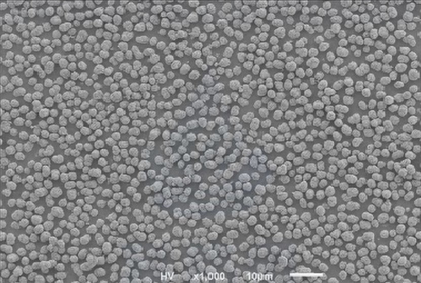 Ni0.6Co0.2Mn0.2(OH)2 Precursor Powder for Single-Crystal NCM622 Cathode Synthesis, 100 g/bottle, CLIBPCSCNCM622OH
