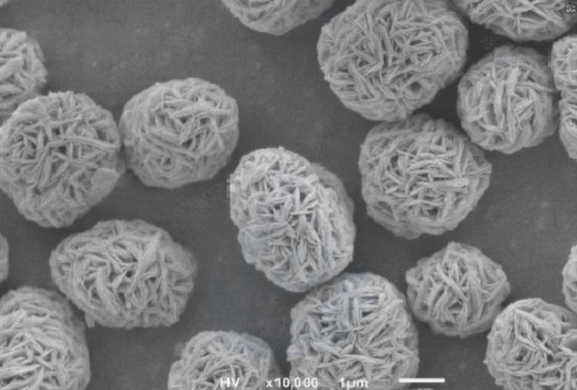 Ni0.6Co0.2Mn0.2(OH)2 Precursor Powder for Single-Crystal NCM622 Cathode Synthesis, 100 g/bottle, CLIBPCSCNCM622OH
