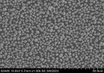 Ni0.8Co0.1Mn0.1(OH)2 Precursor Powder for Single-Crystal NCM811 Cathode Synthesis, 100 g/bottle, CLIBPCSCNCM811OH