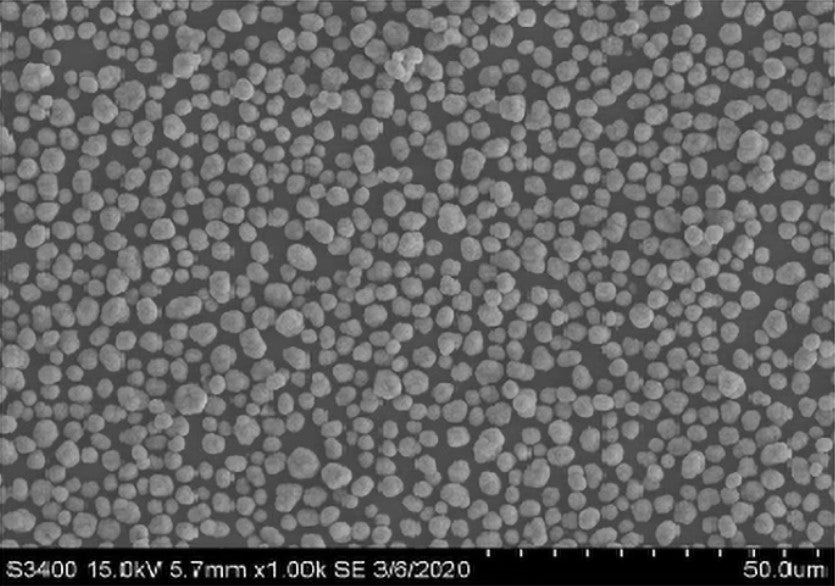 Ni0.8Co0.1Mn0.1(OH)2 Precursor Powder for Single-Crystal NCM811 Cathode Synthesis, 100 g/bottle, CLIBPCSCNCM811OH