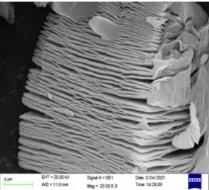 Accordion-Like MXene Ti3C2Tx (HF Etching) as Cathode Host for Aqueous Zn-I2/Br2 Battery, 5 g/bottle, CAZIBCAMTCT