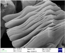 Clay-Like MXene Ti3C2Tx (LiF Etching) as Cathode Host for Aqueous Zn-I2/Br2 Battery, 5 g/bottle, CAZIBCCMTCT