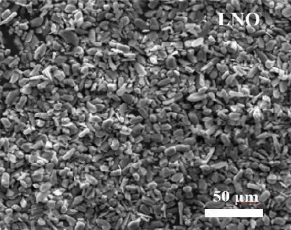Li2NiO2 (LNO) Powder as Cathode Pre-Lithiation Additive for Lithium-Ion Battery, 50 g/bottle, CLIBCPLALNO