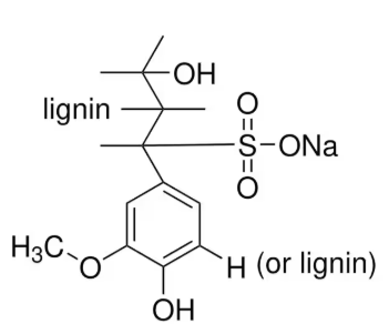 Sodium Ligonsulfate (SLS) Powder as Battery Electrode Binder, 50 g/bottle, CBEBSLS