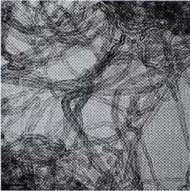 Multi-Wall Carbon Nanotubes (MWCNTs, >99%) Powder as Conductive Electrode Additive, 50 g/bottle, CCEAMWCNTP