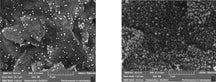 Gold (Au) Nanoparticle Modified Screen-Printed Electrode as Electrochemical Biosensors, CEBAuNPSPE