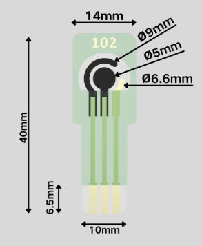 Screen-Printed Carbon Nanotube Electrodes (CNT-SPEs) as Flexible Electrochemical Biosensors, CFEBSPCNTE