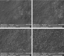 Screen-Printed Carbon Nanotube Electrodes (CNT-SPEs) as Flexible Electrochemical Biosensors, CFEBSPCNTE