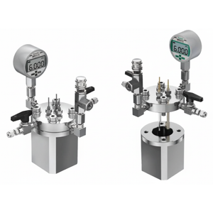 High Pressure (6 MPa) H-Type Electrochemical Cell with Single Chamber, CHPHTECSC