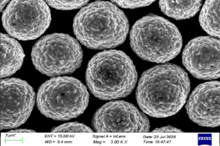 LiNi0.92Co0.07Mn0.01O2 (NCM9271, Polycrystalline) Powder for Li-Ion Battery Cathode, 100-500 g/bottle, CLIBCNCM9271