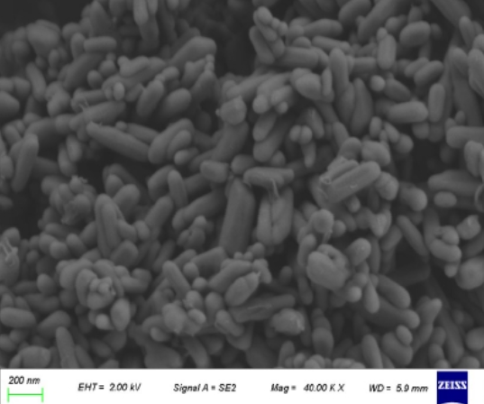 Nanosize LiFePO4 (LFP) Powder with High-Rate (20C) and Wide Temperature (-40 to 60℃) for Li-Ion Battery Cathode, 100 g/bottle, CLIBCNLFPHRWT