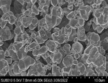 Single-Crystal LiNi0.92Co0.05Mn0.03O2 (NCM9253) Powder for Li-Ion Battery Cathode, 100 g/bottle, CLIBCSCNCM9253