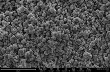 Single-Crystal LiNi0.95Co0.025Mn0.025O2 (NCM952525) Powder for Li-Ion Battery Cathode, 50 g/bottle, CLIBCSCNCM952525