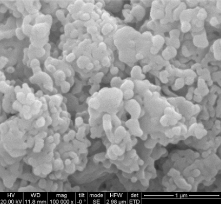 Iron Phosphate (FePO4, >99.9%) Precursor Powder for LiFePO4 Cathode Synthesis, 200 g/bottle, CLIBPCFP