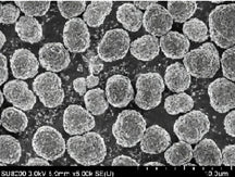 Ni0.8Mn0.2(OH)2 Precursor Powder for LNMO Cathode Synthesis, 20-100 g/bottle, CLIBPCNM82OH