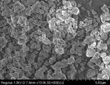 LLTO (Li3xLa2/3-xTiO3) Powder as Solid-State Electrolyte for Lithium-Ion Battery, 25 g/bottle, CLIBSSELLTO