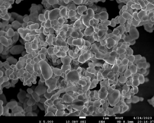 LLZNO (Li6.6La3Zr1.6Nb0.4O12) Powder as Solid-State Electrolyte for Lithium-Ion Battery, 25 g/bottle, CLIBSSELLZNO
