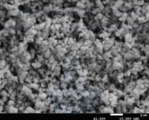 LLZTO (Li6.4La3Zr1.4Ta0.6O12) Powder as Solid-State Electrolyte for Lithium-Ion Battery, 25 g/bottle, CLIBSSELLZTO