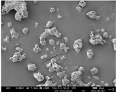 LPSI (Li6PS5I) Powder as Solid-State Electrolyte for Lithium-Ion Battery, 10 g/bottle, CLIBSSELPSI