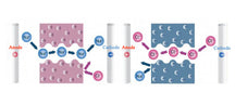 Low Resistance Cation-Exchange Membrane (CEM) for Membrane Capacitive Deionization (MCDI), CMCDILRCEM