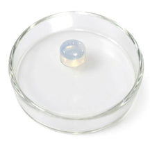 GelMA (Gelatin Methacrylate) Powder for Photocurable Hydrogel Synthesis, 1 g/bottle, CPCHSGelMA
