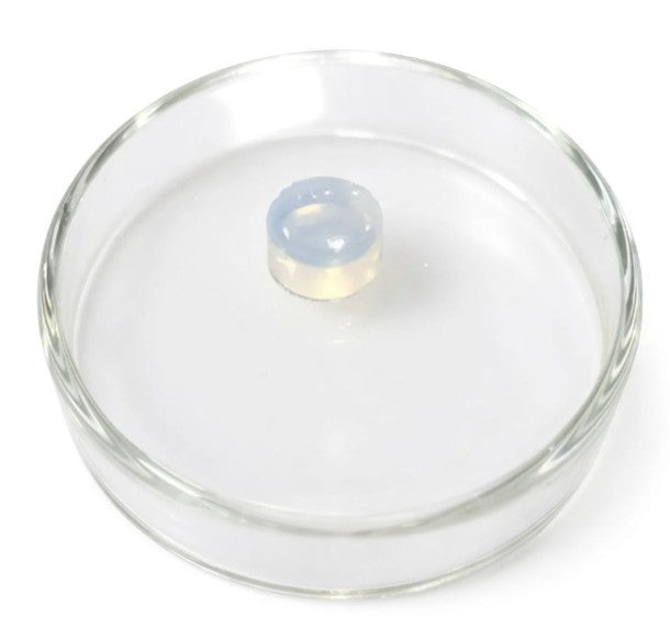 GelMA (Gelatin Methacrylate) Powder for Photocurable Hydrogel Synthesis, 1 g/bottle, CPCHSGelMA