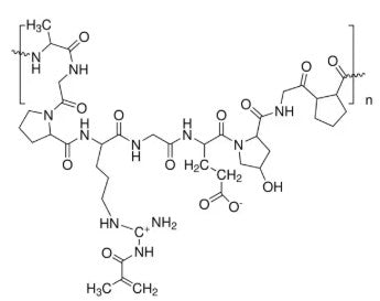 GelMA (Gelatin Methacrylate) Powder for Photocurable Hydrogel Synthesis, 1 g/bottle, CPCHSGelMA