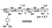 HA-PBA (Phenylboronic Acid-functionalized Hyaluronic Acid) Powder for Responsive Hydrogel Synthesis, 1 g/bottle, CRHSHAPBA