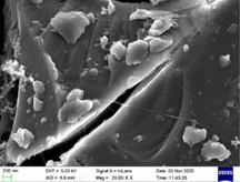 PAA {Poly(acrylic acid)} and Single-Wall Carbon Nanotubes (SWCNTs) Aqueous Dispersion as Composite Binder for Si-Based Anode, 200 g/bottle, CSBACBPS