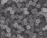 Mesoporous Carbon Nanosphere (CN05) for Supercapacitor and Catalyst Support, 5 g/bottle, CSCSMCNS