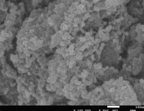 Disordered Porous Carbon (XFP09, 3000 m2/g, ~370 F/g, Aqueous Electrolyte) for Supercapacitor, 5 g/bottle, CSDPCXFP09