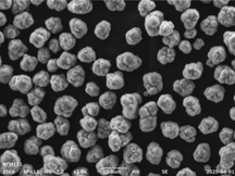 Ni1/3Fe1/3Mn1/3(OH)2 Precursor Powder for O3-Type Layered Oxide NaNi1/3Fe1/3Mn1/3O2 Cathode Synthesis, 100 g/bottle, CSIBPCNFM111OH