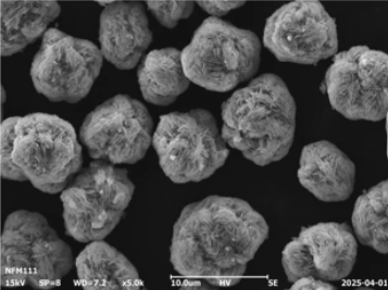 Ni1/3Fe1/3Mn1/3(OH)2 Precursor Powder for O3-Type Layered Oxide NaNi1/3Fe1/3Mn1/3O2 Cathode Synthesis, 100 g/bottle, CSIBPCNFM111OH