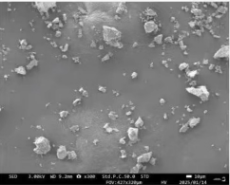 NPS (Na3PS4) Powder as Solid-State Electrolyte for Sodium-Ion Battery, 5 g/bottle, CSIBSSENPS